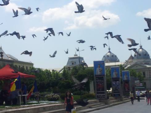 13350438_1539267229437095_1287224214997245320_o