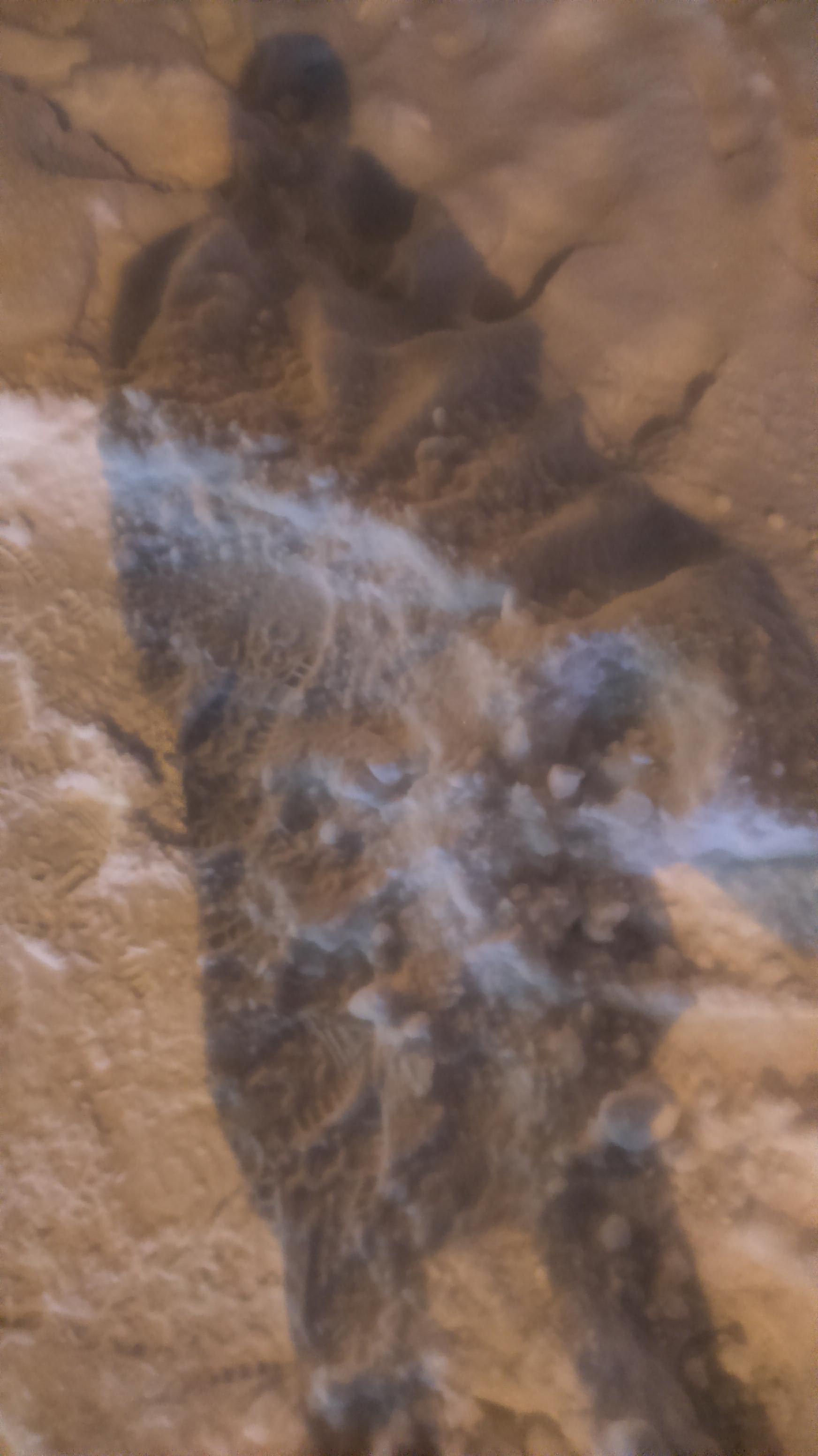 27144995_2130282167002262_176509020_o (1)