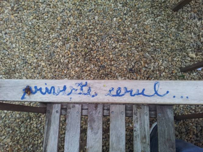 13391467_1539263432770808_1863015029755602122_o